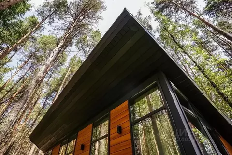 Дом в Новосибирская область, Маслянинский район, д. Чупино ул. ...