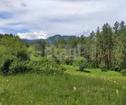 Участок в Алтай, Чемальский район, пос. Усть-Сема  (4900.0 сот.)