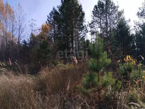 Участок в Тюменская область, Нижнетавдинский муниципальный округ, д. ...