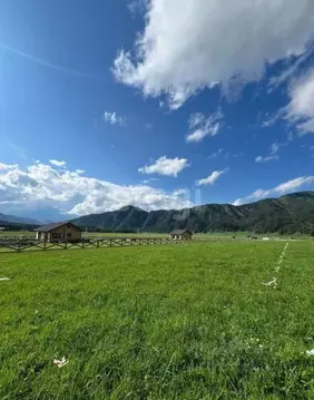 Участок в Алтай, Чемальский район, с. Чепош  (12.66 сот.)