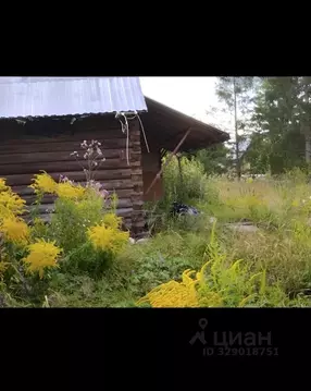 Дом в Ленинградская область, Лужский район, Мшинское с/пос, Мшинская ...