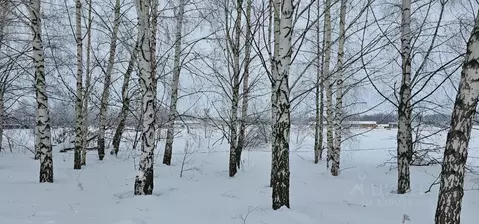 Участок в Московская область, Луховицы муниципальный округ, пос. ...