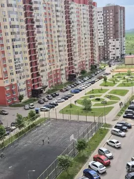 Студия Воронежская область, Новоусманский район, пос. Отрадное ул. ...