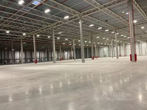 Склад в Московская область, Пушкино Ярославское ш., 226А (9500 м)