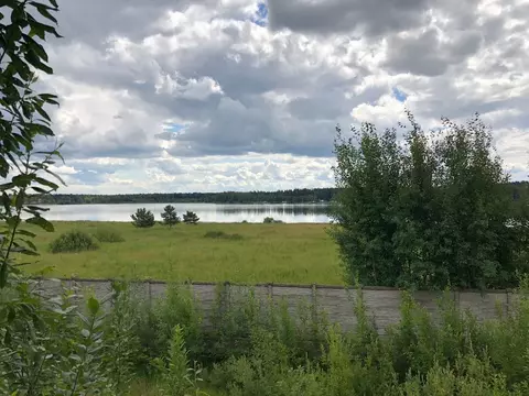 Участок в Московская область, Дмитровский муниципальный округ, д. ...