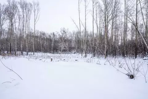 Участок в Новосибирская область, Новосибирск  (7.19 сот.)