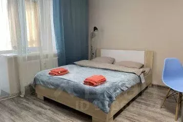 1-к кв. Вологодская область, Череповец Октябрьский просп., 78А (30.0 ...