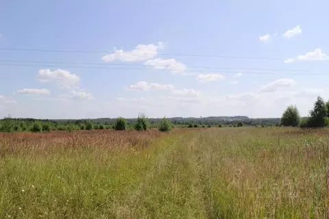 Участок в Владимирская область, Юрьев-Польский муниципальный округ, ...