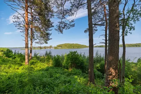 Участок в Ленинградская область, Всеволожский район, Куйвозовское ...
