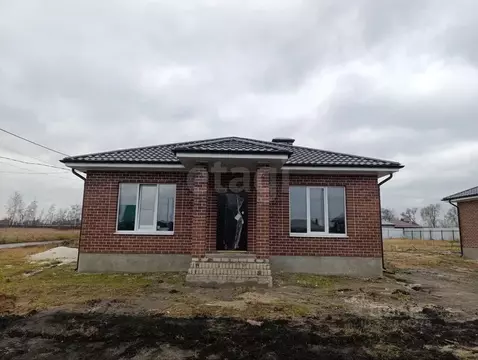 Дом в Воронежская область, с. Новая Усмань ул. Менделеева, 95 (90 м)