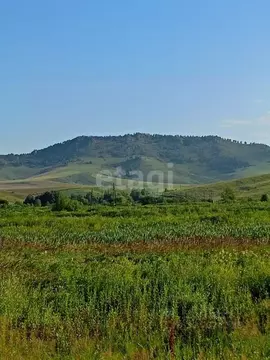 Участок в Алтайский край, Алтайский район, с. Верх-Ая Алтайская ул. ...