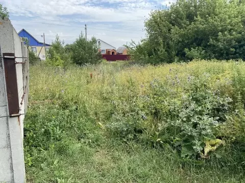 Участок в Мордовия, Лямбирский район, Большеелховское с/пос, с. ...