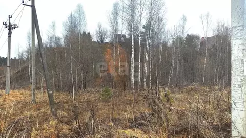 Участок в Московская область, Рузский муниципальный округ, д. ...