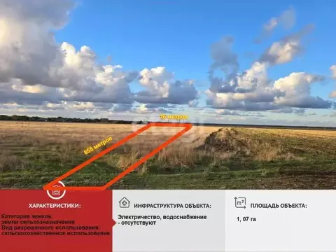 Участок в Крым, Сакский район, Ореховское с/пос, с. Михайловка  ...
