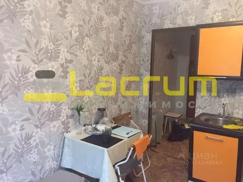 Студия Красноярский край, Красноярск Северный мкр, ул. Мате Залки, 4 ...