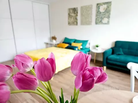 Студия Тюменская область, Тюмень ул. Мельникайте, 90А (30.0 м)