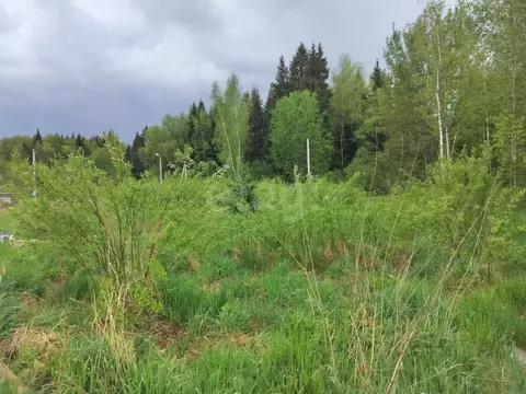 Участок в Москва Европейская долина-2 ДНП, пер. 4-й Двинский, 12 ...