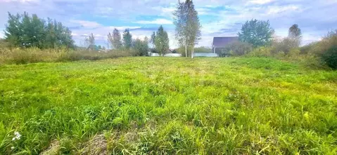 Участок в Новосибирская область, Колыванский район, Вилана садовое ...