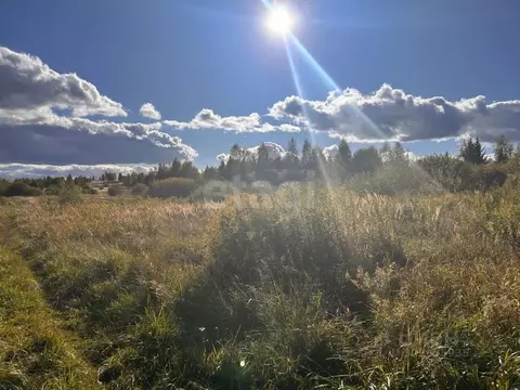 Участок в Костромская область, Нерехта ул. Фадеева (10.0 сот.)