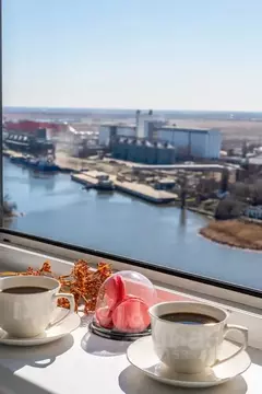 Студия Ростовская область, Ростов-на-Дону Береговая ул., 6 (33.0 м)