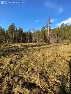 Участок в село Чепош, Трактовая улица (12 м)