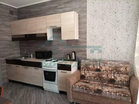 1-к кв. Новосибирская область, Новосибирск ул. Александра Чистякова, ...