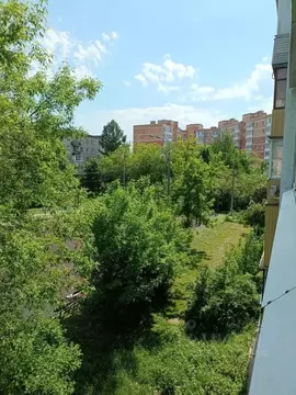 3-к кв. Московская область, Ленинский городской округ, Измайлово пгт 3 ...