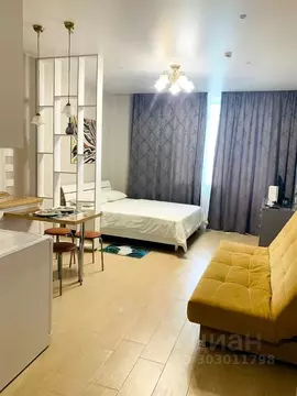 Студия Пермский край, Пермь ул. Куйбышева, 109А (30.0 м)