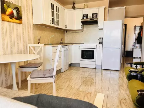 1-к кв. Санкт-Петербург Полевая Сабировская ул., 47к2 (46.1 м)
