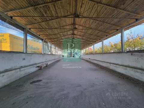 Склад в Севастополь ул. Шабалина, 19А (230 м)