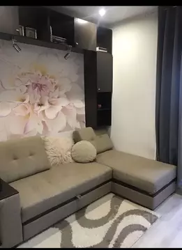 Студия Московская область, Ленинский городской округ, Лопатино пгт ул. ...