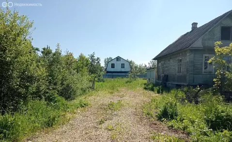 Дом в Тосненский район, городской посёлок Красный Бор (58 м)