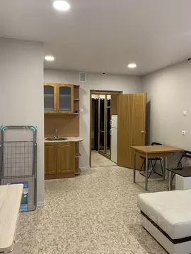 Студия Санкт-Петербург просп. Энтузиастов, 31к3 (28.0 м)