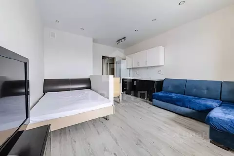 Студия Ленинградская область, Всеволожский район, пос. Бугры ул. ...