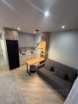 Студия Москва просп. Прокшинский, 11 (22.7 м)