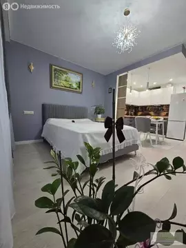 Квартира-студия: Щёлково, Жегаловская улица, 29А (30.4 м)