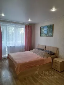 1-к кв. Псковская область, Великие Луки пер. Пескарева, 7к2 (33.0 м)