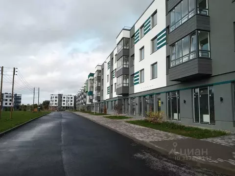 Торговая площадь в Ленинградская область, Гатчинский район, д. Малое ...