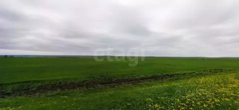 Участок в Крым, Ленинский район, Семисотское с/пос, с. Каменское ул. ...