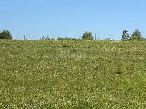 Участок в Калужская область, Перемышльский муниципальный округ, ...