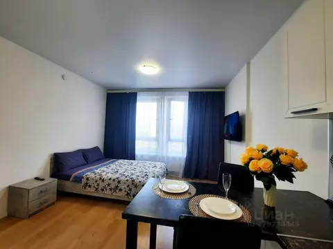 Студия Московская область, Котельники ул. Сосновая, 5к1 (23.5 м)