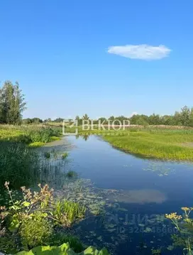 Участок в Ярославская область, Ярославский муниципальный округ, Соньга ...