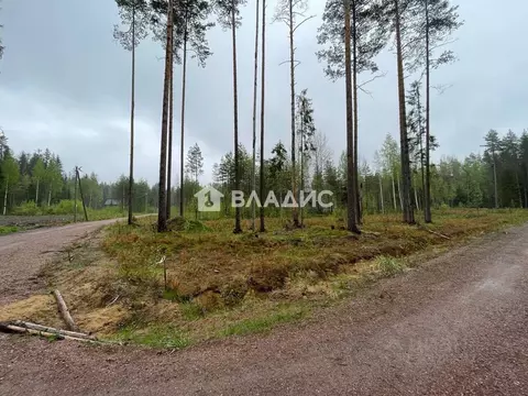 Участок в Ленинградская область, Выборгский район, Рощино пгт проезд ...