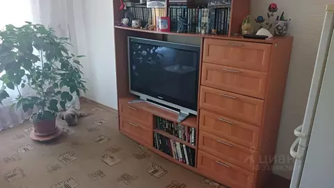 3-к кв. Самарская область, Тольятти ул. Ворошилова, 43 (60.3 м)