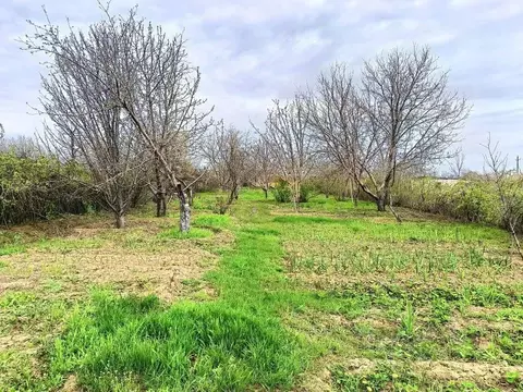 Дом в Волгоградская область, Волгоград Залив СНТ,  (10 м)