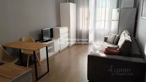 Студия Санкт-Петербург просп. Энергетиков, 11к2 (24.1 м)