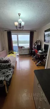 1-к кв. Омская область, Омск наб. Иртышская, 12 (32.7 м)