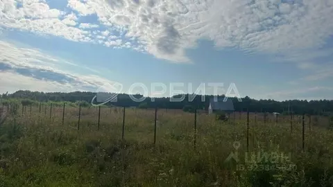 Участок в Тюменская область, Тюменский муниципальный округ, с. Кулига ...