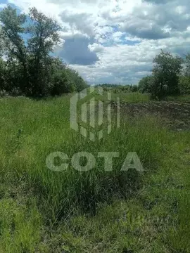 Участок в Воронежская область, с. Новая Усмань  (17.14 сот.)