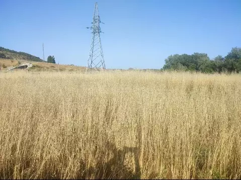 Участок в Севастополь с. Фруктовое, ул. Виноградная (12.3 сот.)